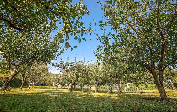 Domy wakacyjne - Makarska-Donji Prolozac , Chorwacja - CSD171 101