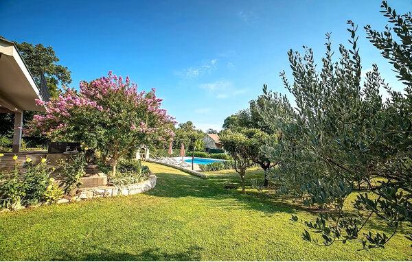 Domy wakacyjne - Makarska-Donji Prolozac , Chorwacja - CSD171 2