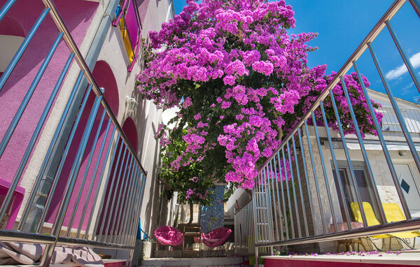 Ferienwohnung - Trogir - Seget Vranjica , Kroatien - CSD290 7