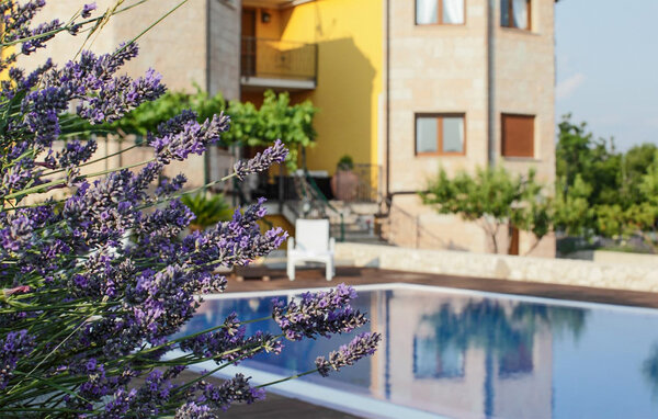 Semesterhus - Makarska - Cista Provo , Kroatien - CSD303 12