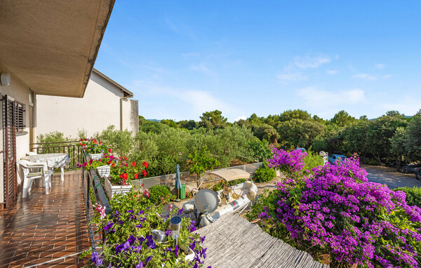 Apartment - Sibenik-Sibenik , Croatia - CSV109 201