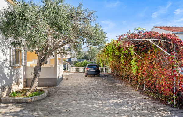 Semesterlägenhet - Rogoznica , Kroatien - CSV199 101