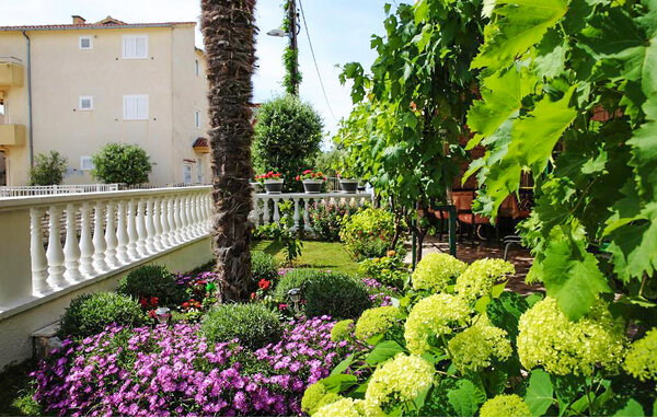 Apartment - Vodice , Croatia - CSV320 2