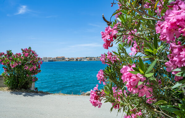 Semesterlägenhet - Sibenik-Brodarica , Kroatien - CSV323 101