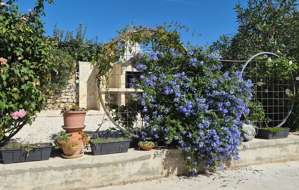 Ferienhaus - Vodice - Tribunj , Kroatien - CSV359 101