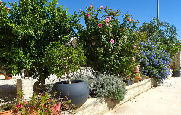 Ferienhaus - Vodice - Tribunj , Kroatien - CSV359 102