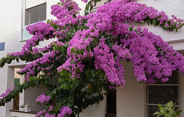 Ferienwohnung - Sibenik-Pirovac , Kroatien - CSV391 102