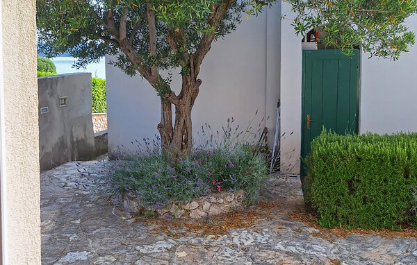 Appartement - Murter - Betina , Croatie - CSV415 102