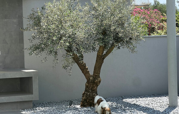 Casa de vacaciones - Sibenik , Croacia - CSV423 106