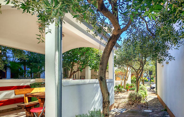 Appartement - Vodice , Croatie - CSV429 102