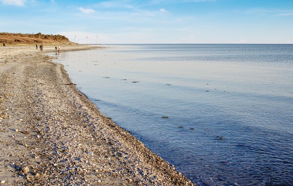 Ferienhaus - Ahl Strand , Dänemark - D01009 904