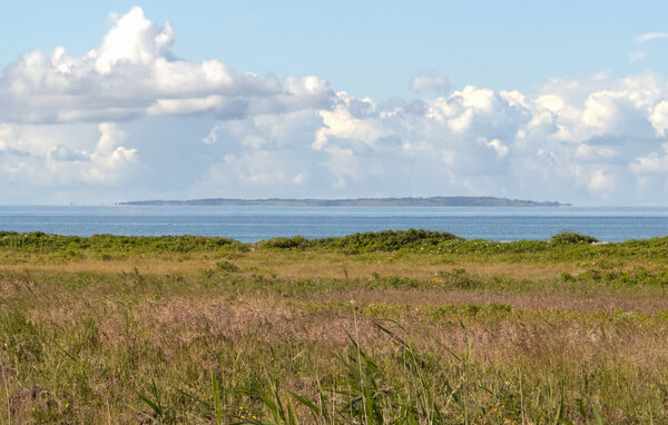 Domy wakacyjne - Øer Strand , Dania - D04310 201