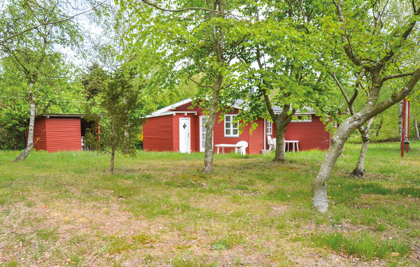Ferienhaus 