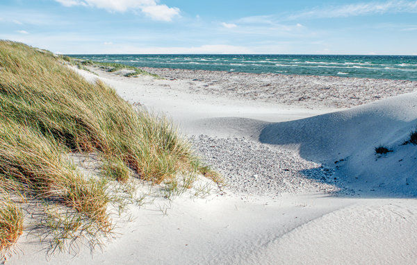 Semesterhus - Øer Strand , Danmark - D04804 903