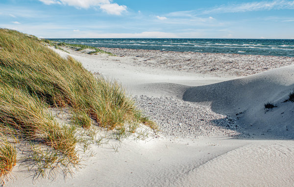 Domy wakacyjne - Øer Strand , Dania - D04990 903