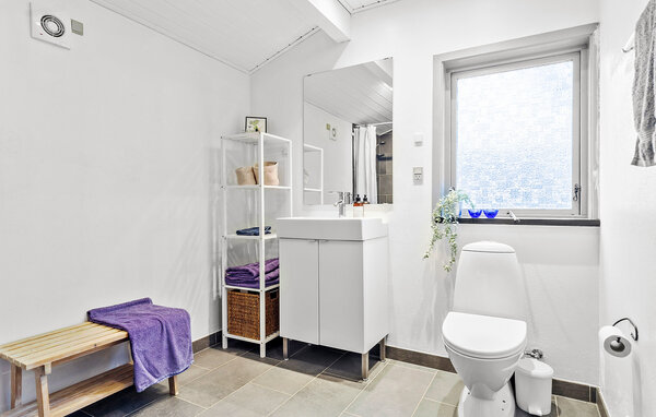 Ferienhaus - Elsegaarde Strand , Dänemark - D05010 701