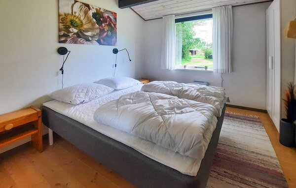 Ferienhaus - Elsegaarde Strand , Dänemark - D05010 601