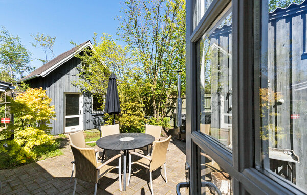 Ferienhaus - Elsegaarde Strand , Dänemark - D05010 101