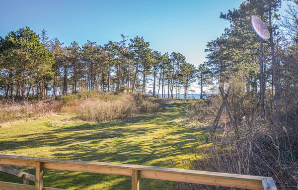 Ferienhaus - Elsegårde Strand , Dänemark - D05104 104