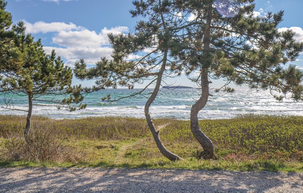 Semesterhus - Elsegårde Strand , Danmark - D05833 902