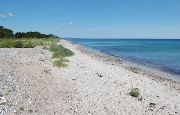 Semesterhus - Elsegårde Strand , Danmark - D05833 905