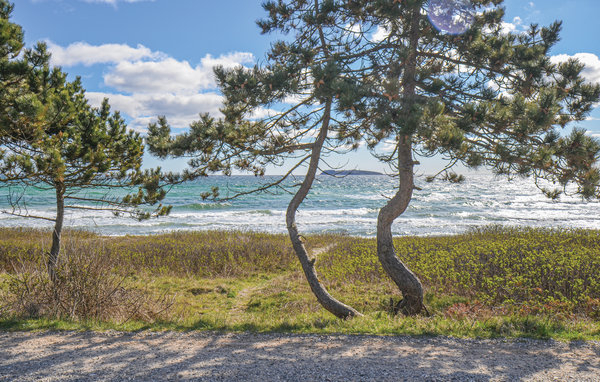 Ferienhaus - Elsegårde Strand , Dänemark - D05987 902