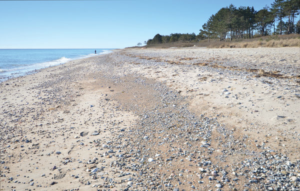 Ferienhaus - Elsegårde Strand , Dänemark - D05987 906