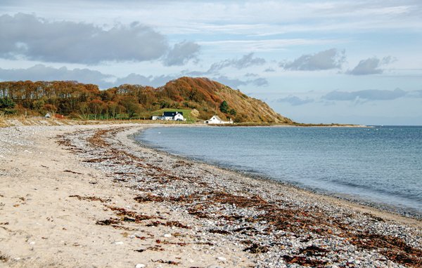 Domy wakacyjne - Holme Strand , Dania - D08880 906