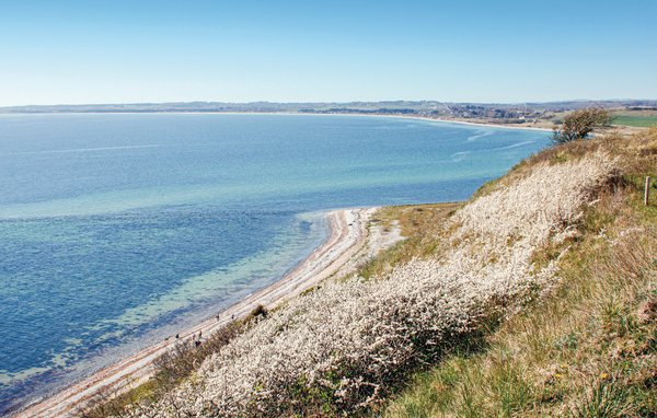 Domy wakacyjne - Holme Strand , Dania - D08880 909