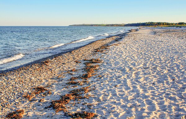 Feriehuse - Dråby Strand , Danmark - D10107 904