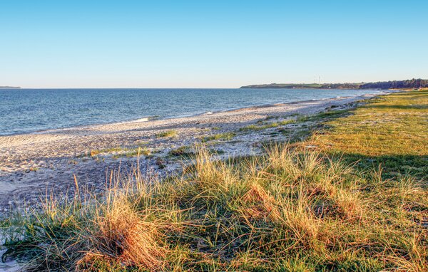 Feriehuse - Dråby Strand , Danmark - D10107 905
