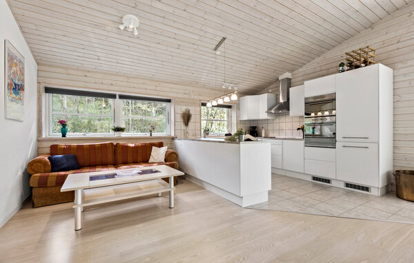 Feriehuse - Vibæk Strand , Danmark - D11102 4