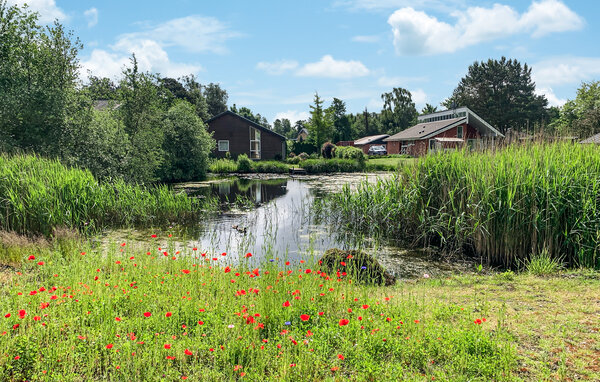 Holiday Home - Ebeltoft , Denmark - D11115 102