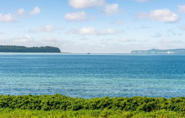 Feriehus - Vibæk Strand , Danmark - D11126 203