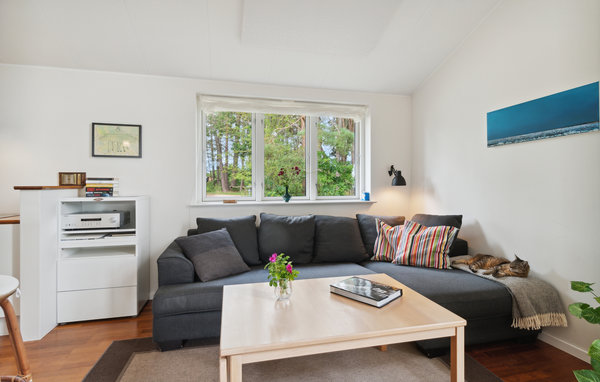 Holiday Home - Vibæk Strand , Denmark - D11760 301
