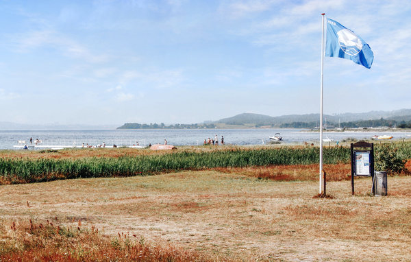 Feriehuse - Lyngsbæk Strand , Danmark - D16033 901