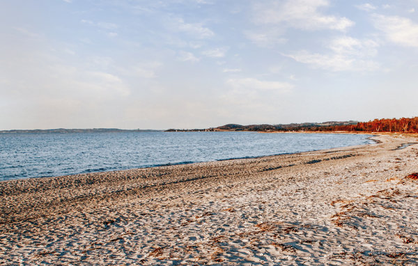 Feriehuse - Lyngsbæk Strand , Danmark - D16033 903