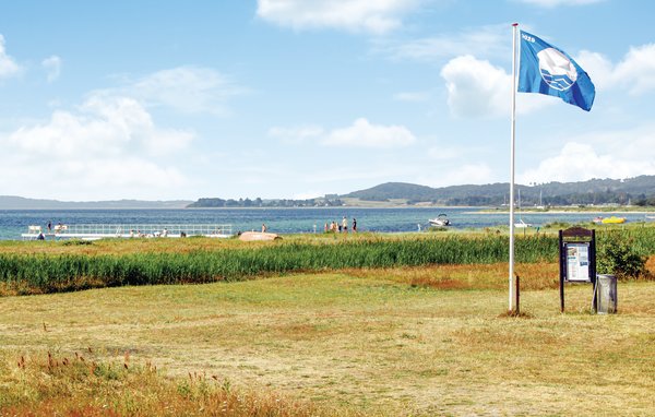 Feriehus - Lyngsbæk Strand , Danmark - D16201 901