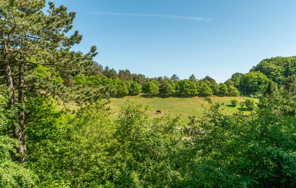 Ferienhaus - Femmøller Bakker , Dänemark - D20003 201