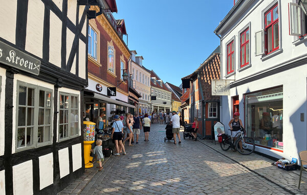 Domy wakacyjne - Femmøller , Dania - D20007 907