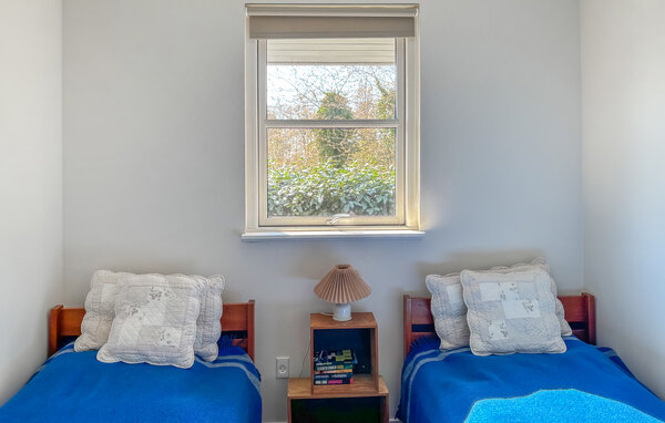 Holiday Home - Brunshuse Strand , Denmark - D2016 604