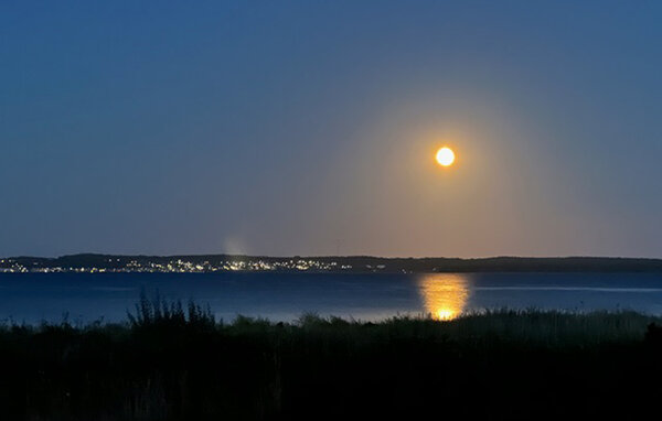 Feriehuse - Bogens Strand , Danmark - D21521 203