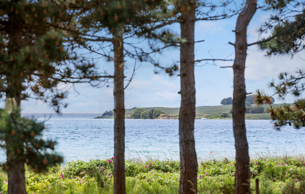 Feriehuse - Begtrupvig Strand , Danmark - D25243 202