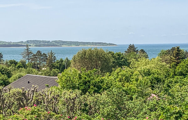Ferienhaus - Fuglsø Strand , Dänemark - D26103 202