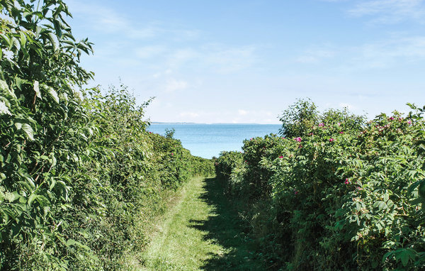 Feriehus - Fuglsø Strand , Danmark - D26208 904
