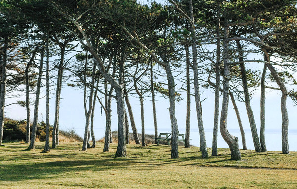Domy wakacyjne - Sletterhage Strand , Dania - D27065 904