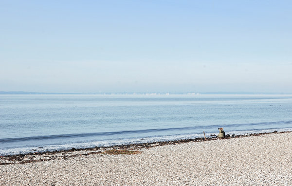 Ferienhaus - Sletterhage Strand , Dänemark - D27278 903