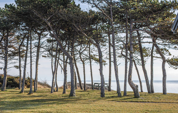 Ferienhaus - Sletterhage Strand , Dänemark - D27278 906