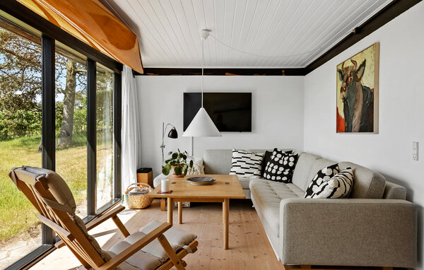 Ferienhaus - Sletterhage Strand , Dänemark - D29004 301