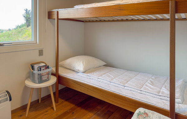 Ferienhaus - Sletterhage Strand , Dänemark - D29057 601